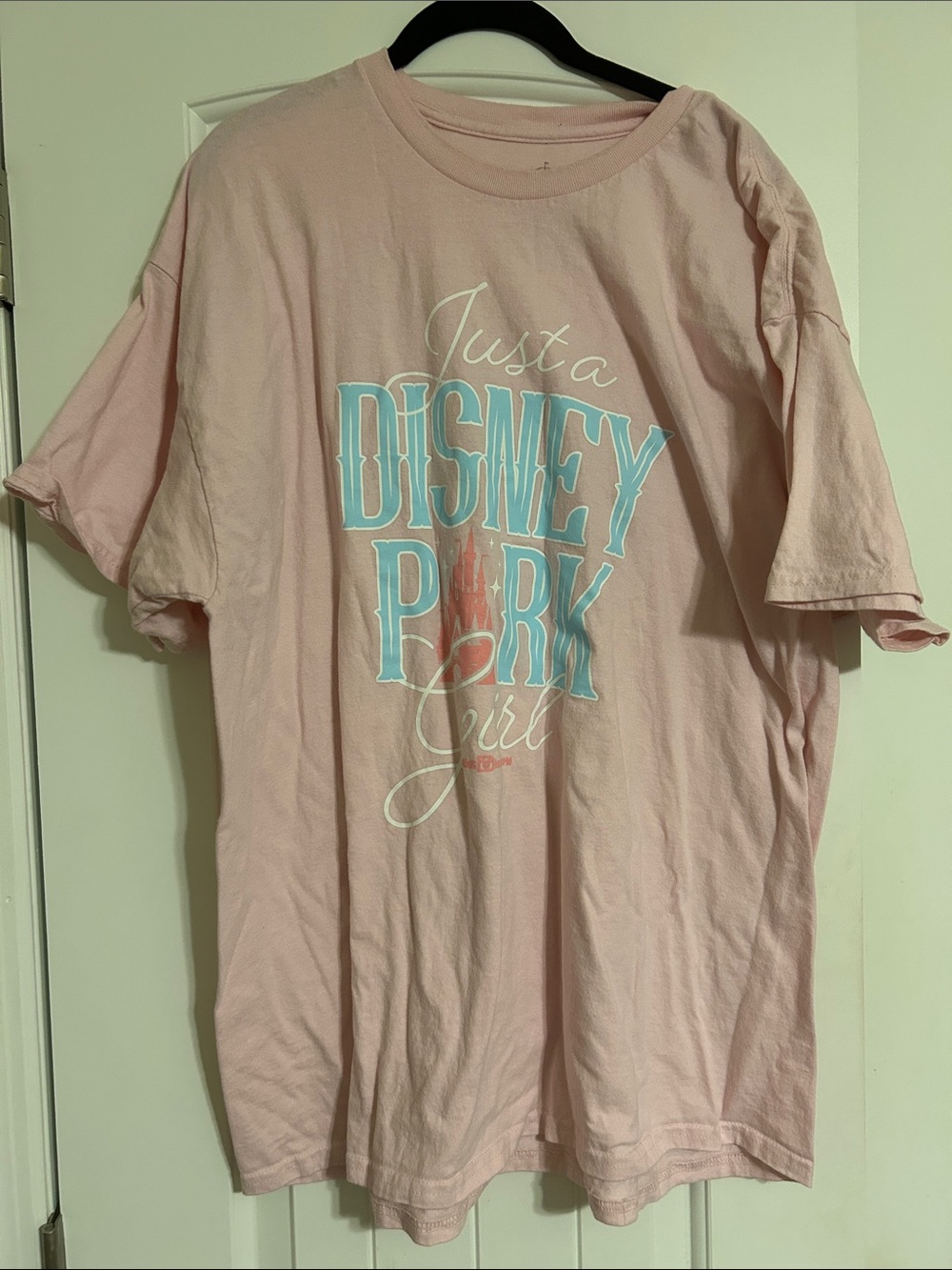 Disney Light Pink Short Sleeve Tee with Blue & White Park Graphic